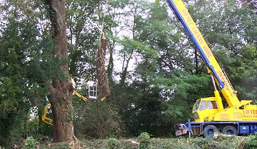 cherry picker